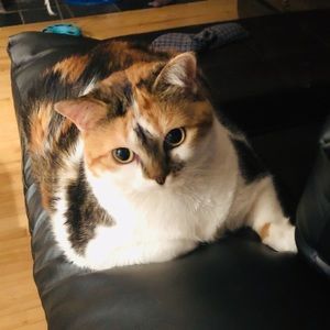 Meet your Posher, Marla